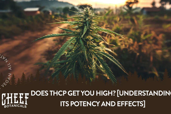 Does THCP Get You High? [Understanding Its Effects and Potency]
