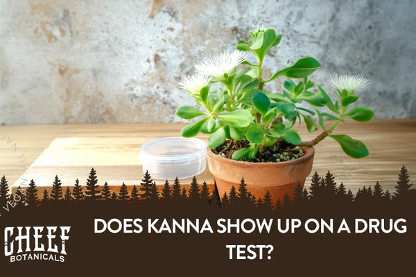 Does Kanna Show Up on a Drug Test?