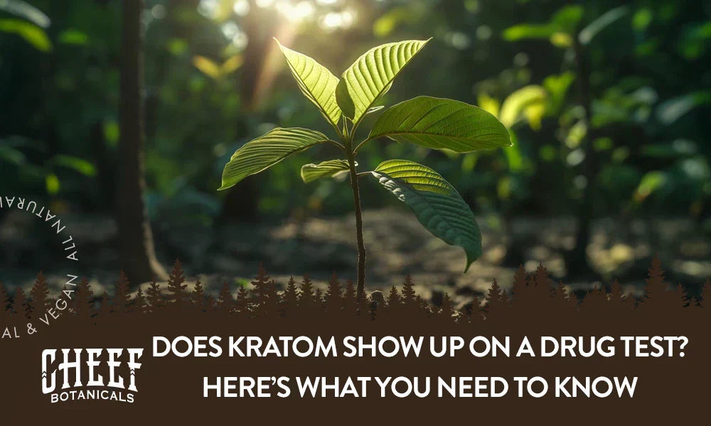 A Kratom plant growing naturally outside.