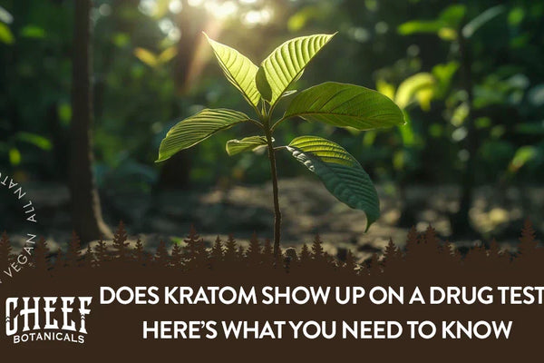 Does Kratom Show Up on a Drug Test? Here’s What You Need to Know