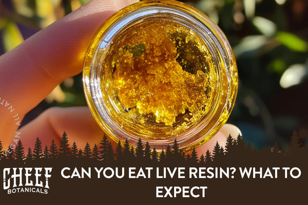 Can You Eat Live Resin? Here's What to Expect