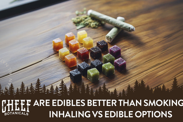 Are Edibles Better Than Smoking? Inhaling vs Edible Options