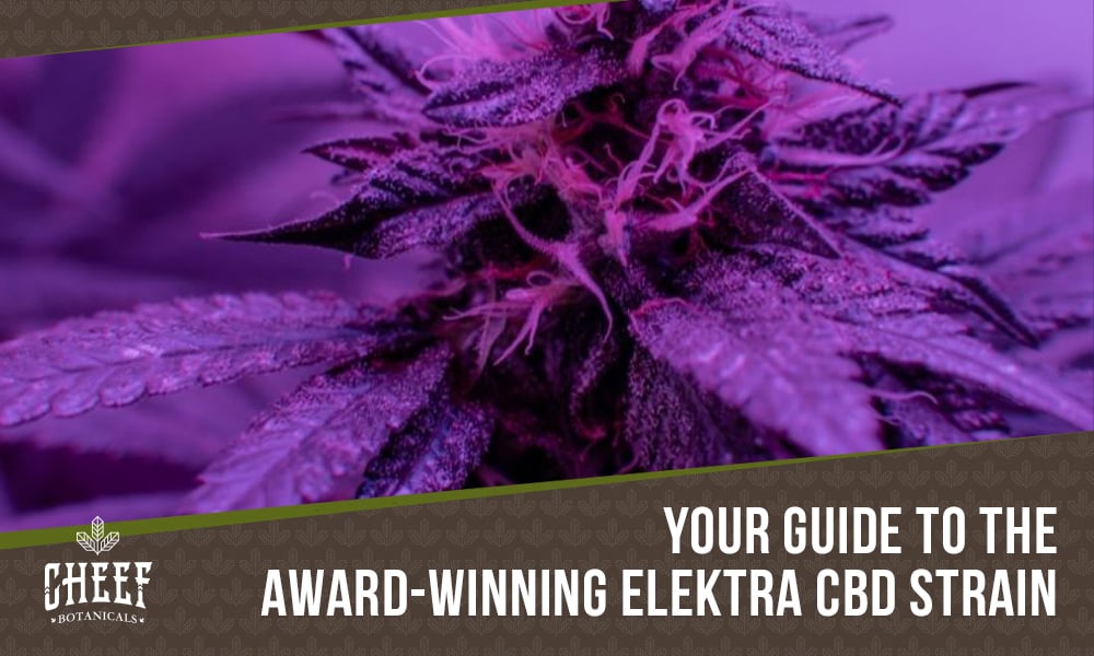 Elektra CBD Flower
