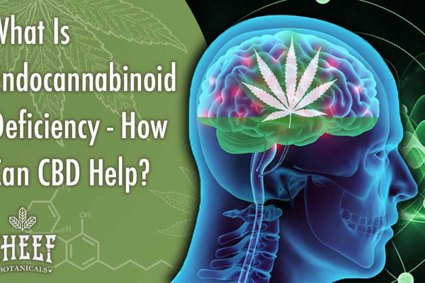 What Is Endocannabinoid Deficiency? (How CBD May Help)