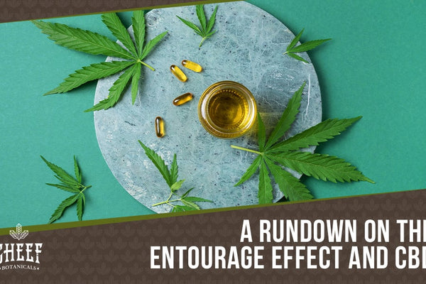 The Entourage Effect, CBD, & Everything In Between! [#1 Guide]