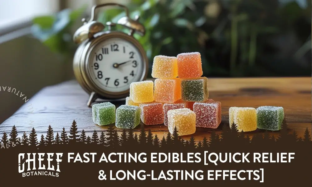 Featured blog image by Cheef Botanicals showing sugar-coated gummies beside an alarm clock with the text “Fast Acting Edibles [Quick Relief & Long-Lasting Effects],” highlighting fast acting edibles.