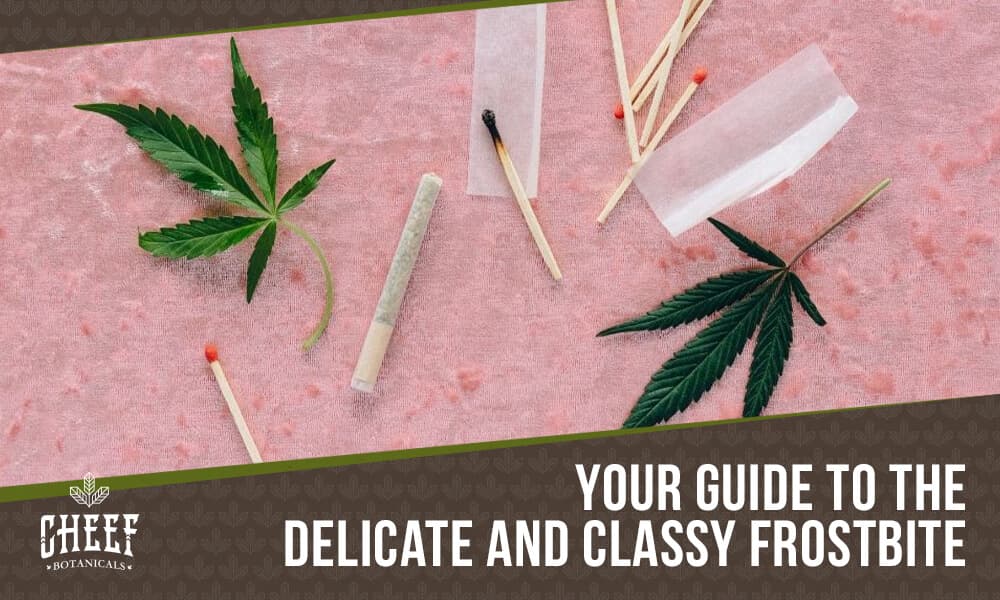 Frostbite CBD Flower