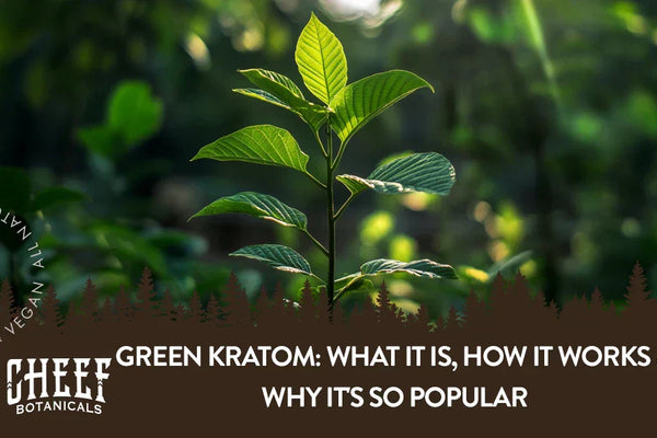 Green Kratom: What It Is, How It Works & Why It's Popular