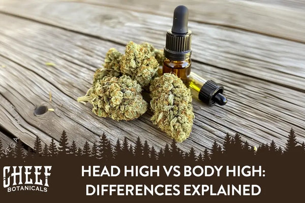 Head High vs Body High: Differences Explained