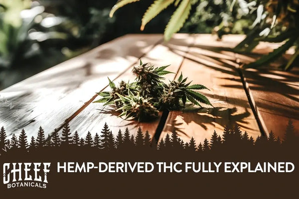 Hemp-Derived THC: What It Is, How It Exists, & Why It’s Legal