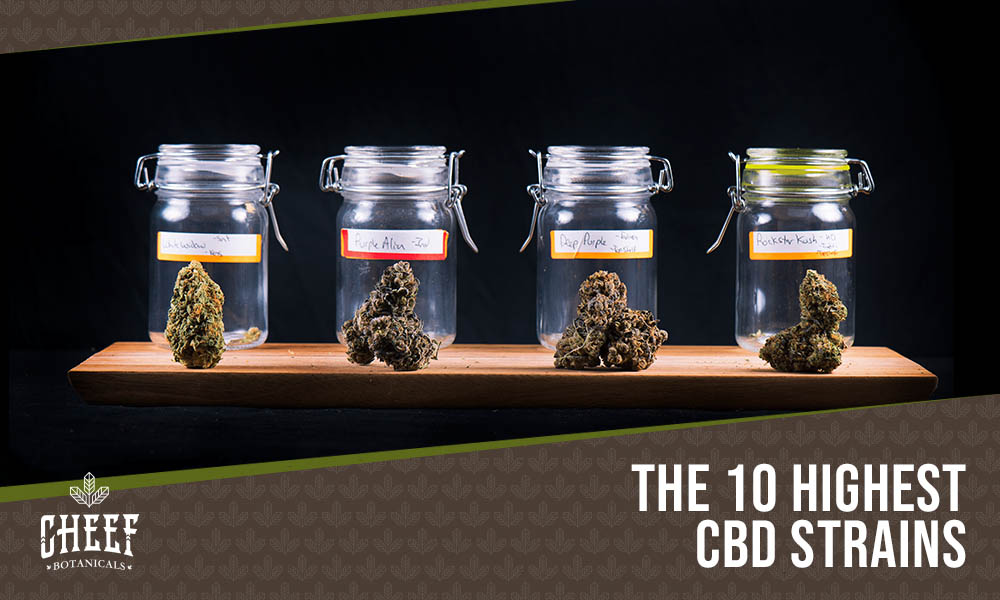 High CBD Strains