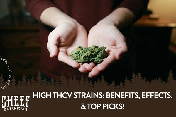 High THCV Strains: Benefits, Effects, & Top Picks!
