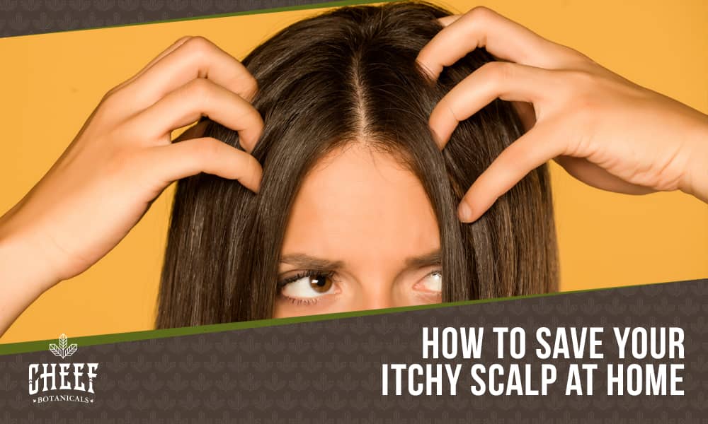 Home Remedies For Itchy Scalp