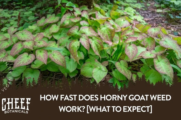 How Fast Does Horny Goat Weed Work? [What To Expect]