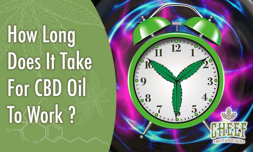 how long does it take for cbd oil to work (featured blog image by Cheef Botanicals) shows a cannabis themed clock with a psychedelic background