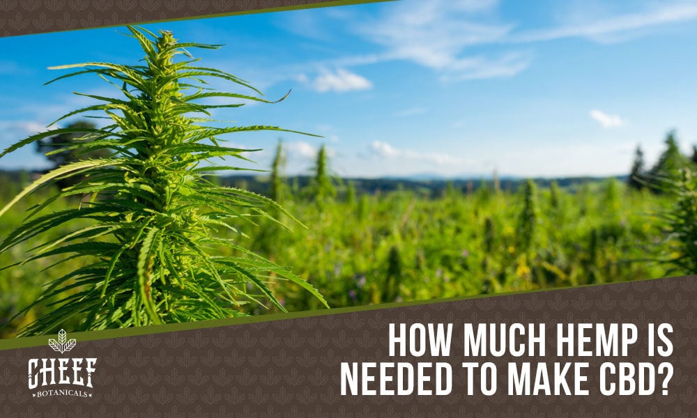 How Many Pounds of Hemp Does it Take to Make CBD
