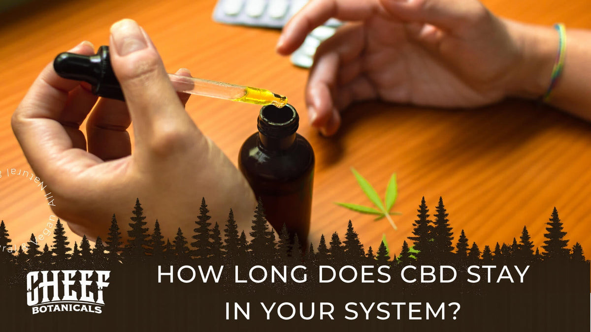 how long does CBD stay in your system (featured blog image by Cheef Botanicals) shows a person dosing CBD oil with a tincture