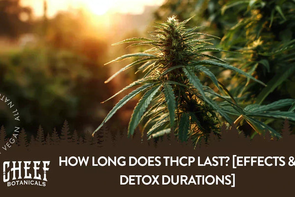 How Long Does THCP Last? [Effects & Detox Durations]