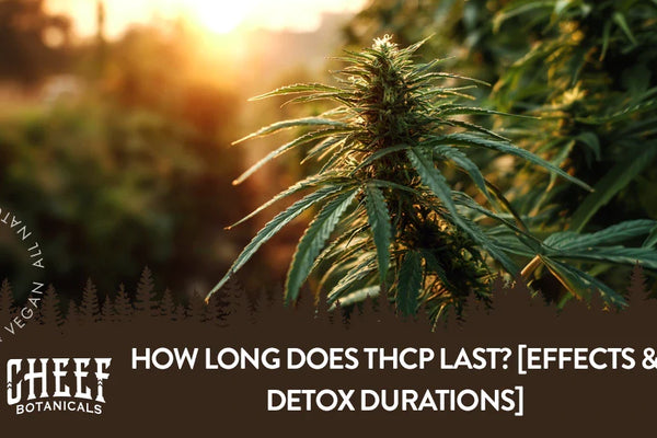 How Long Does THCP Last? [Effects & Detox Durations]