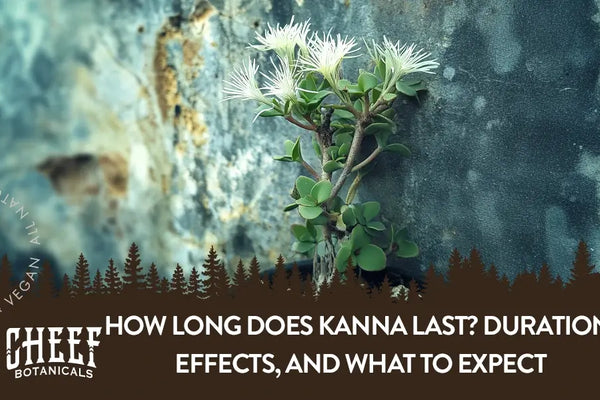How Long Does Kanna Last? Duration, Effects, and What To Expect