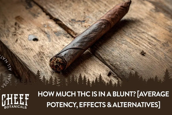 How Much THC Is in a Blunt? [Average Potency, Effects & Alternatives]