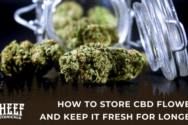 How to Store CBD Flower and Keep It Fresh for Longer