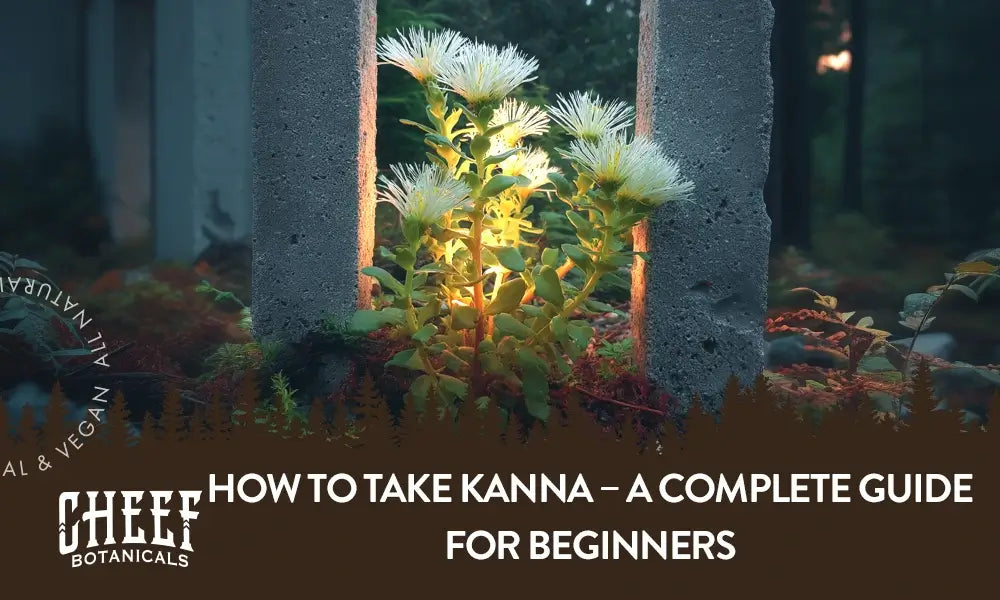 A kanna plant growing outside with the title "How to take kanna".