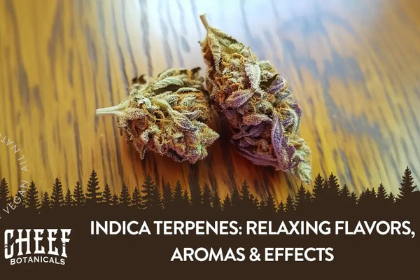 Indica Terpenes Guide: Relaxing Flavors, Aromas & Effects