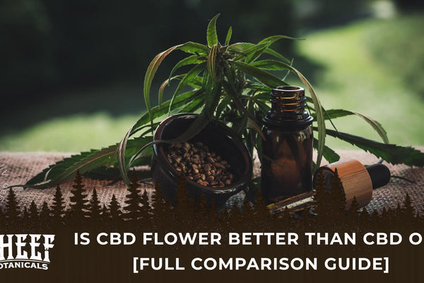 Is CBD Flower Better Than CBD Oil? [Full Comparison Guide]