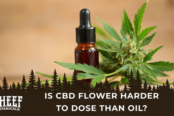 Is CBD Flower Harder To Dose Than Oil?
