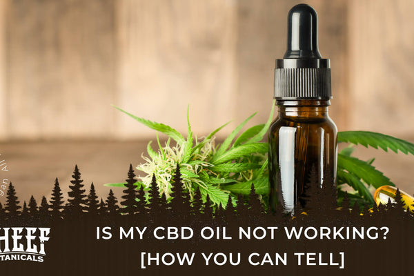 Is My CBD Oil Not Working? [How You Can Tell]