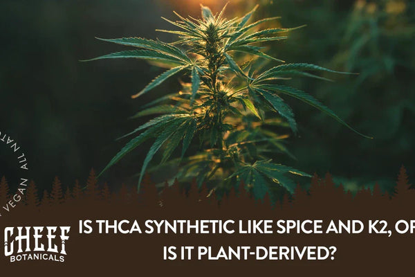 Is THCa Synthetic Like Spice & K2, or Is It Plant-Derived?