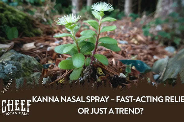 Kanna Nasal Spray – Fast-Acting Relief or Just a Trend?