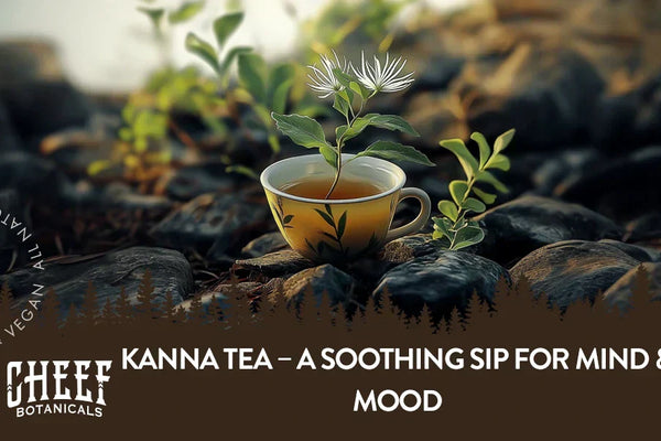 Kanna Tea – A Soothing Sip for Mind & Mood