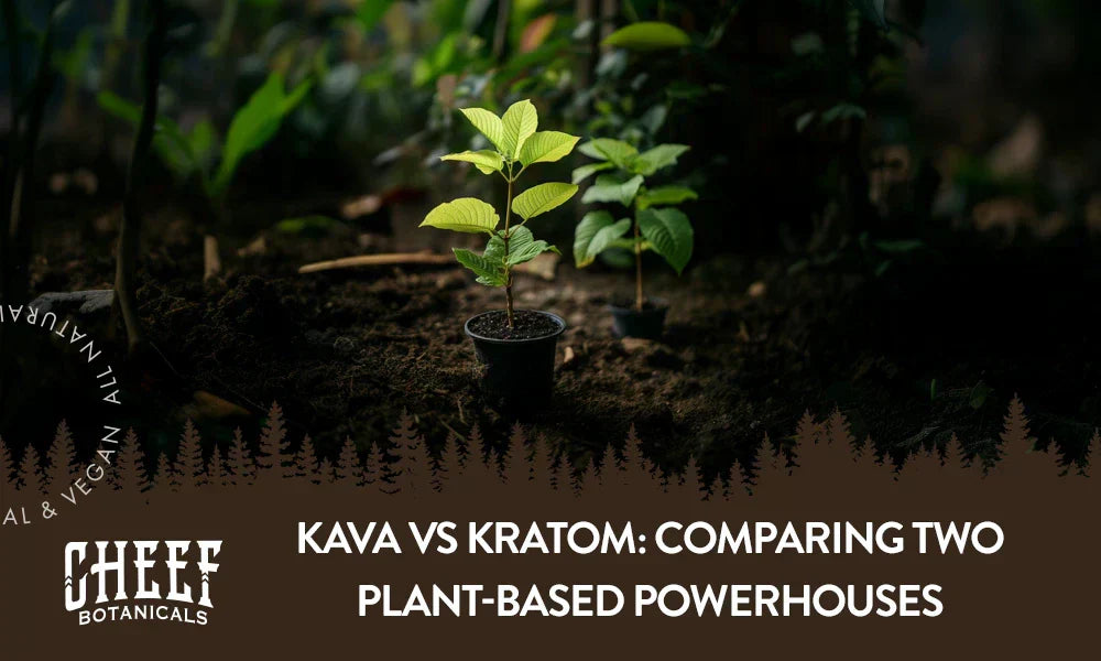 A kratom and kanna plant growing outside with the title "Kava vs Kratom".