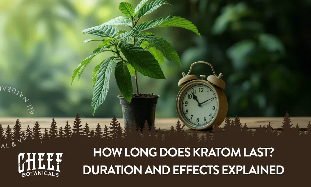 A kratom plant next to a clock with a title saying "How long does kratom last?".