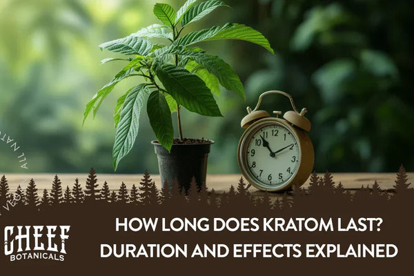 How Long Does Kratom Last? Duration and Effects Explained
