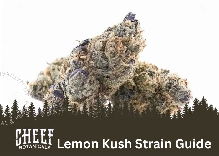 Lemon Kush Strain: Flavor, Effects, Genetics, & More