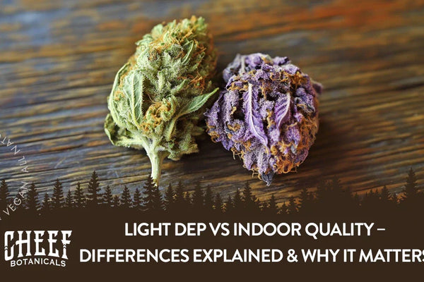 Light Dep vs Indoor Quality – Differences Explained & Why It Matters