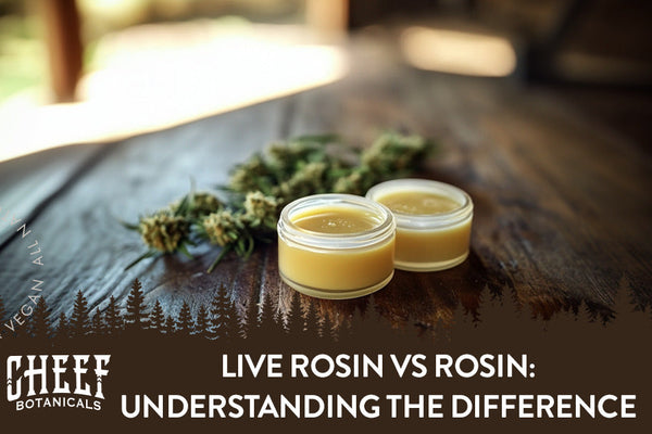 Live Rosin vs Rosin: Understanding the Difference
