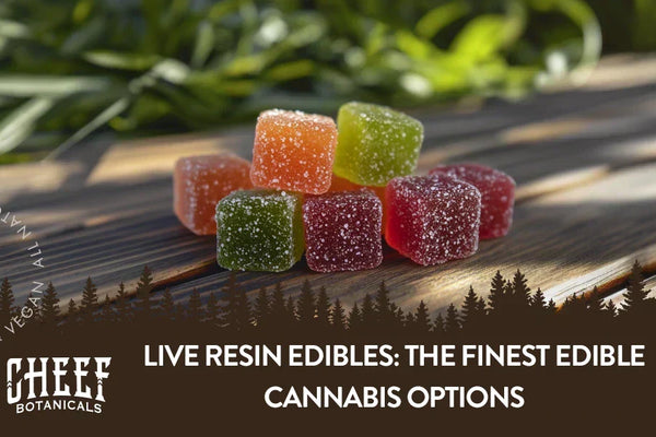 What Are Live Resin Edibles? [The Finest Edibles Available]