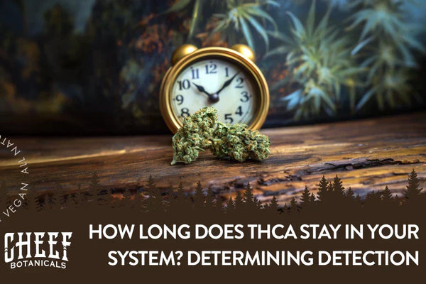 How Long Does THCa Stay in Your System? Detection Times Explained
