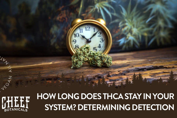 How Long Does THCa Stay in Your System? Determining Detection