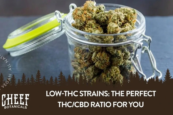 Low-THC Strains: The Perfect THC/CBD Ratio for You