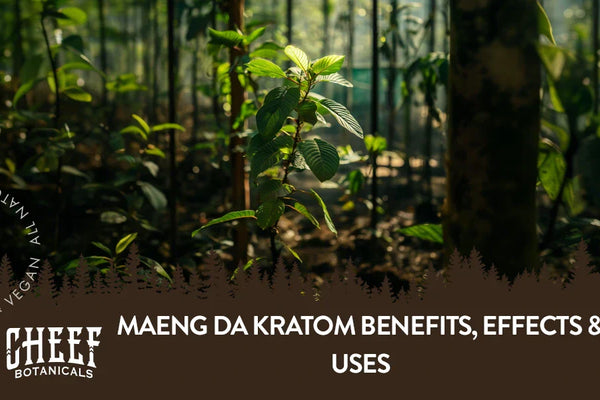 Maeng Da Kratom: Benefits, Effects, Uses, & More