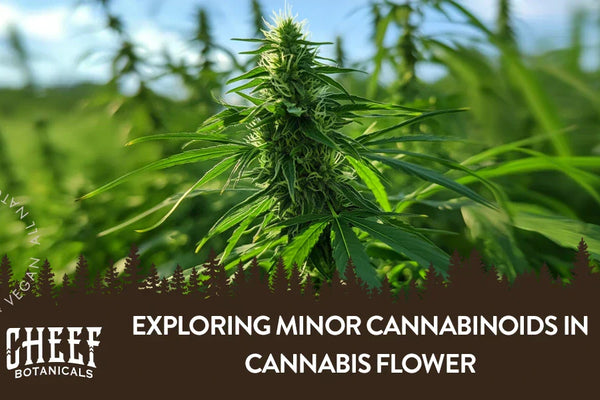Exploring Minor Cannabinoids in Cannabis Flower