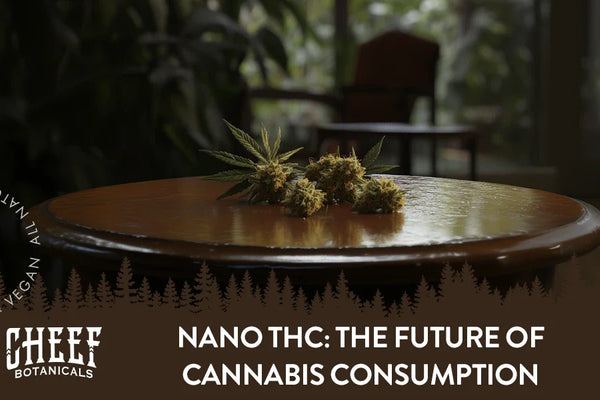 Nano THC: The Future of Cannabis Consumption