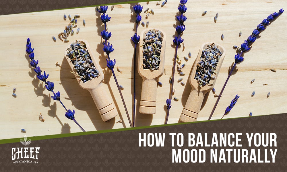 Natural Mood Stabilizers