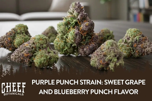 Purple Punch Strain: Sweet Grape and Blueberry Punch Flavor