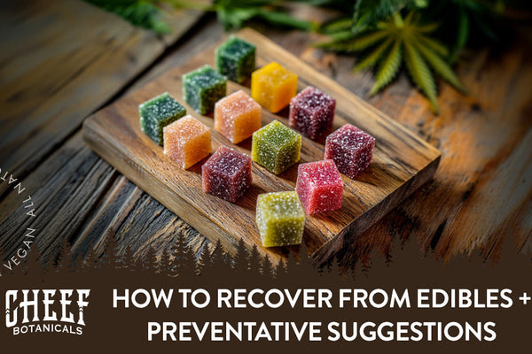 How to Recover from Edibles + Preventative Suggestions
